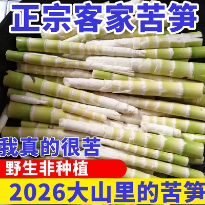 苦笋新鲜竹笋野生苦竹笋5斤包邮