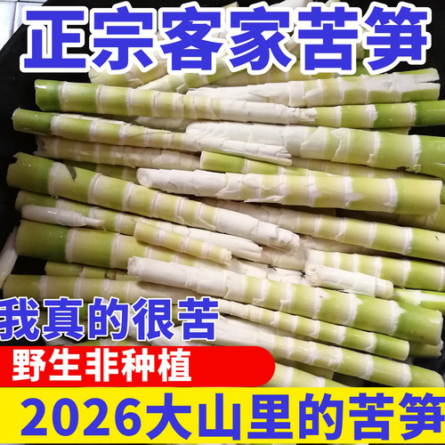 苦笋新鲜竹笋野生苦竹笋5斤包邮