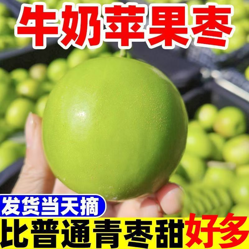 牛奶青枣台湾贵妃蜜枣现摘现发