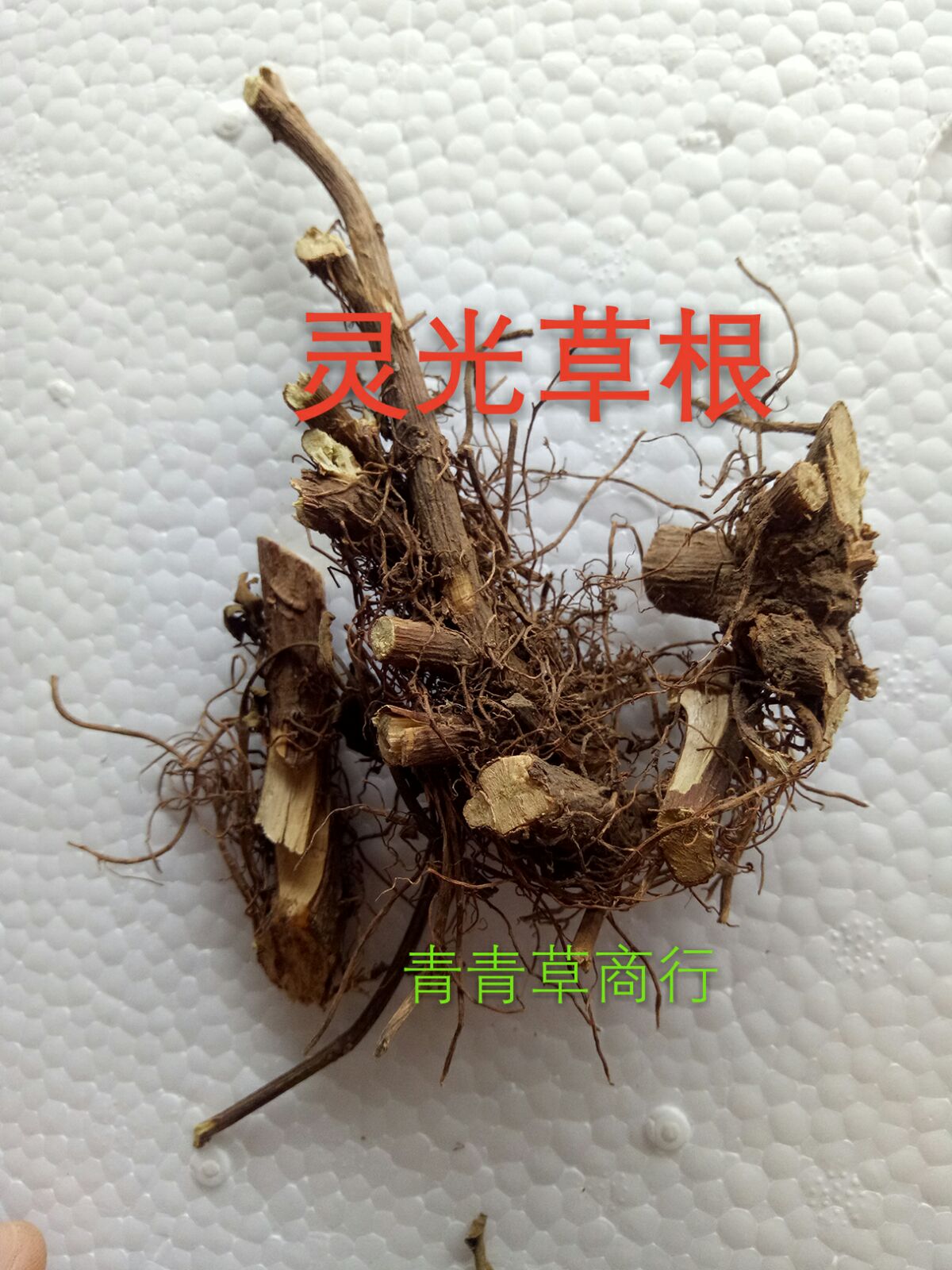 野生灵光草根正宗云南地道500g包邮