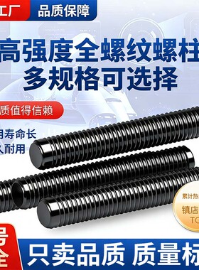 35CrMoA高强度全螺纹螺柱10.9级HG/T20634法兰管专用螺杆M12-M36