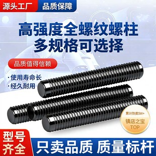 35CrMoA高强度全螺纹螺柱10.9级HG M36 T20634法兰管专用螺杆M12