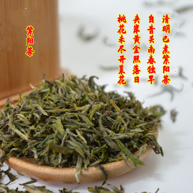 紫阳茶焕古开园茶毛尖茶富硒茶2024年头采春茶新茶礼盒装送试喝