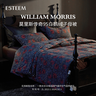 ESTEEM/宜庭莫里斯传奇典藏家可水洗鹅绒被四季羽绒被冬被子被芯