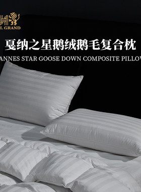戛纳之星鹅绒鹅毛复合枕