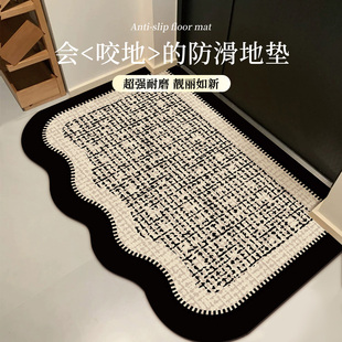 入户门专用地垫轻奢高级感进门耐脏防滑垫玄关家用门外蹭土脚踏垫