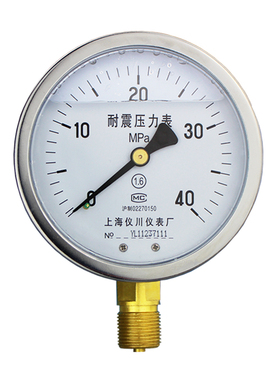 耐震压力表 YN60/100 油压水压气压液压抗震表 0-1/1.6/2.5/40mpa