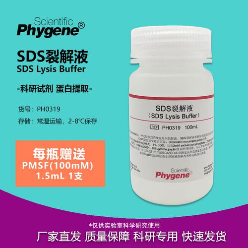 SDS裂解液 100mL 蛋白提取 细胞裂解 科研实验 PH0319 PHYGENE