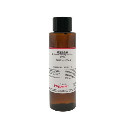 硫堇染色液 染色体染色 0.4%-1% 100mL [PH1314 PHYGENE]