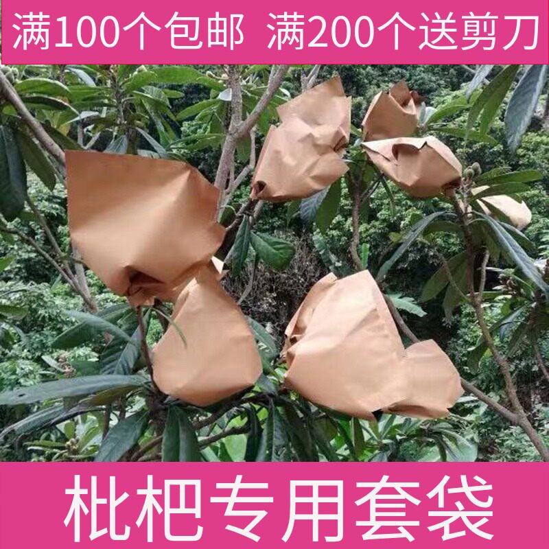 水果枇杷套袋专用袋防尘神器果园加厚纸包橘子防雨水纸袋子苹果