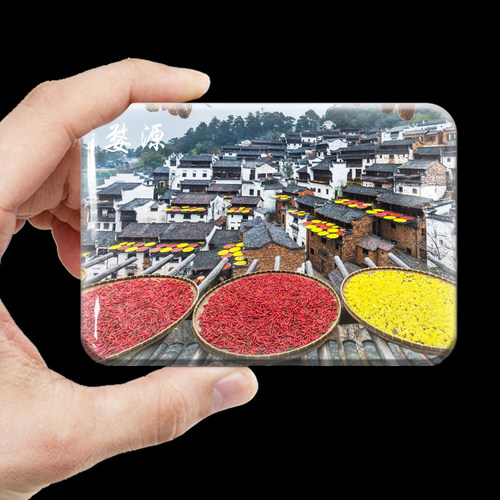 江西旅游纪念品冰箱贴婺源滕王阁