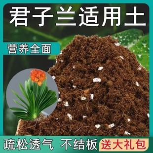 君子兰适用土100L疏松透气营养土专用型盆栽酸性土壤通用花卉肥料