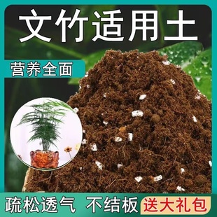 文竹专用土文竹土盆栽土营养土通用种花养花泥土壤有机肥料种植土