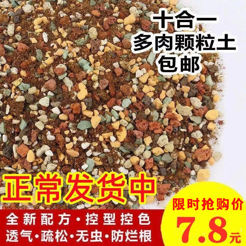 多肉土专用颗粒营养土植物进口泥炭种植土铺面石叶插育苗纯颗粒土