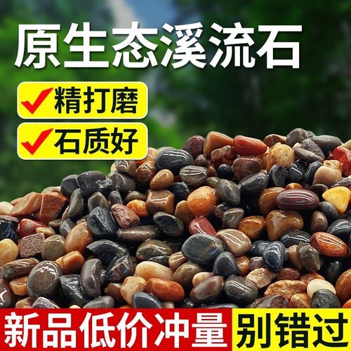 天然鹅卵石溪流石鱼缸铺底造景砂水箱沼泽过滤小石子原生豆石滤料