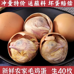 全鸡蛋凤凰蛋20天半毛半蛋18天活珠子毛鸡蛋带毛 农家新鲜毛蛋生