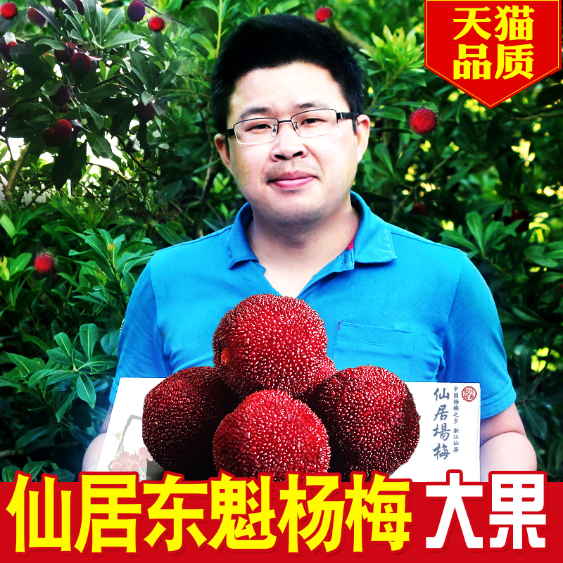仙居杨梅印象仙居新鲜杨梅东魁时令新鲜水果整箱包邮铂金果6斤装