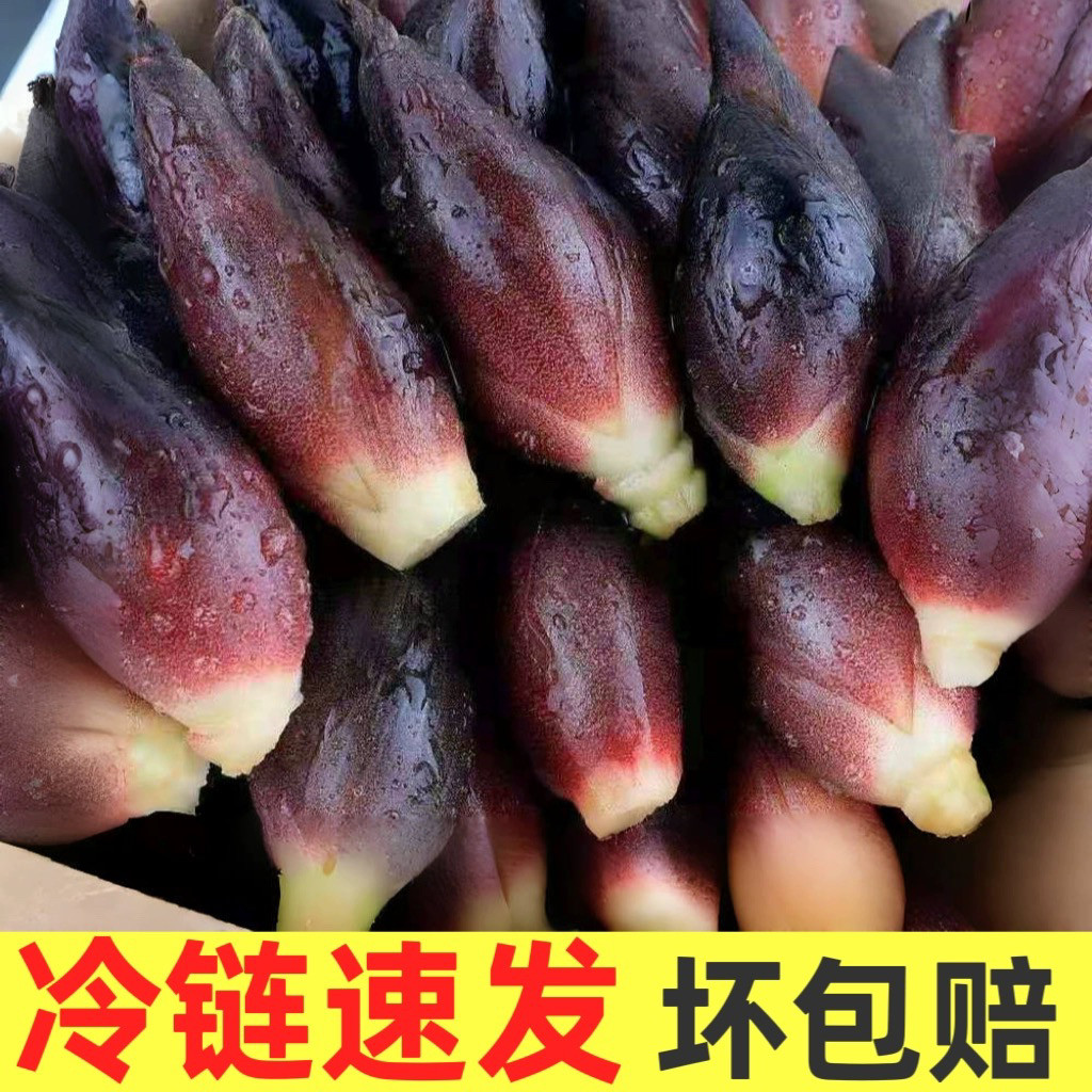 阳荷新鲜贵州洋荷姜新鲜蔬菜冷藏发货阳荷姜下饭菜贵州特产洋河姜