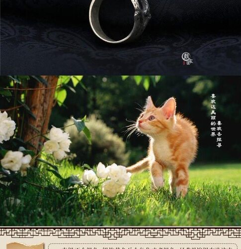 990泰银萌猫戒指复古原创手工镀银小动物戒指猫咪指环招财食指