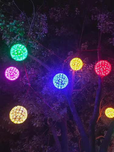 亮化装饰花球蒲公英led灯会景区
