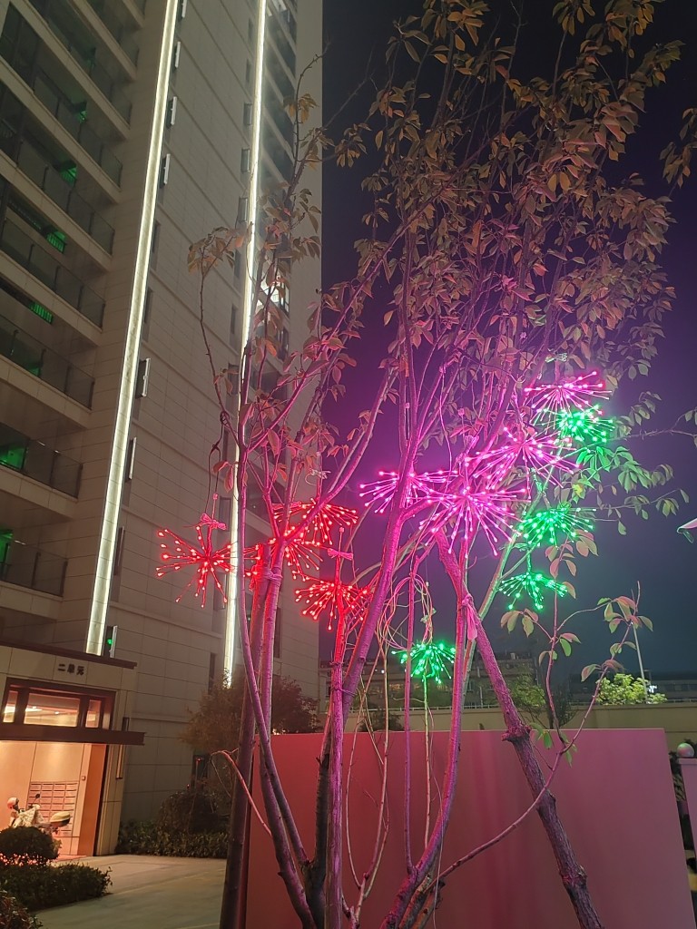 树木装饰闪烁烟花灯街道