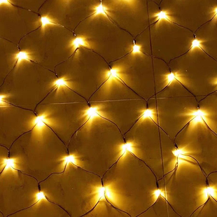 黑线网灯渔网灯串树装饰灯草坪24伏低压网灯餐厅吊顶彩灯户外防雨