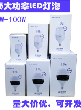 CHNT正泰LED灯泡E27大螺口家用室内外E40大功率白光100w节能厂房