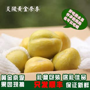 湖南黄金奈李炎陵新鲜水果柰李李子脆甜脱骨李高山恐龙蛋包邮