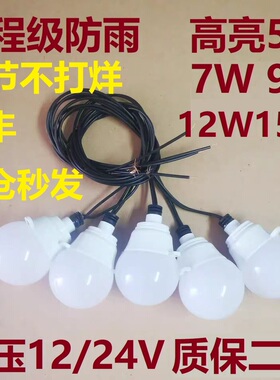高亮灯笼泡led低压12伏24伏红灯笼景区古镇灯笼墙超强户外防雨