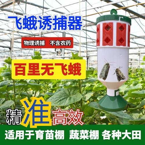 斜纹夜蛾甜菜夜蛾诱捕器潜叶蛾