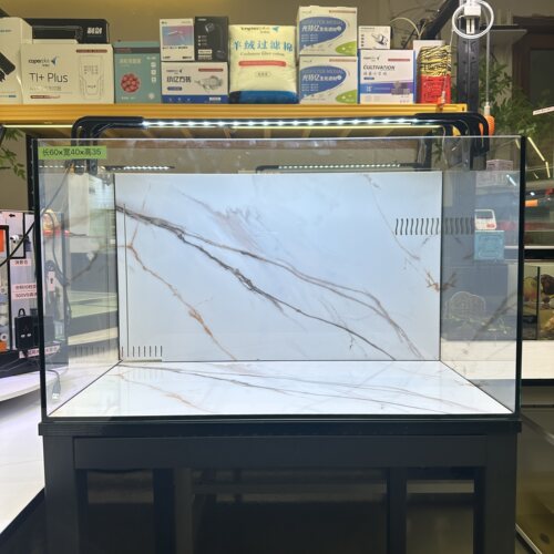 岩板干湿分离背过滤大龟缸