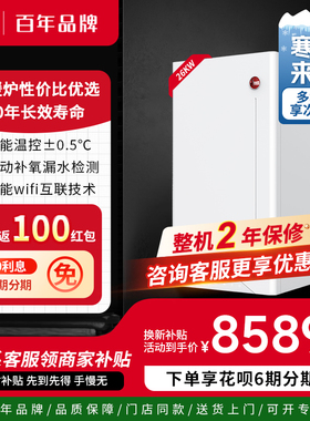 美国瑞美Rheem燃气壁挂炉天然气家用地暖锅炉采暖热水炉CBW