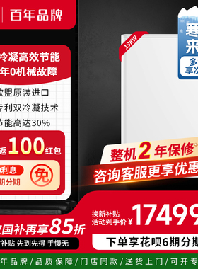 美国瑞美Rheem 原装进口燃气地暖锅炉暖气片双冷凝采暖壁挂炉CBX