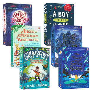 Usborne 英文原版魔法章节小说 会唱风暴的盗贼 盗梦者之书 怪物猎人 爱丽丝 9-12岁中小学课外读物 The Thief Who Sang Storms