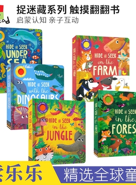 Hide and Seek Under the Sea On the Farm In the Jungle 捉迷藏系列5册套装 触摸翻翻书 启蒙认知 亲子互动 英文原版进口图书