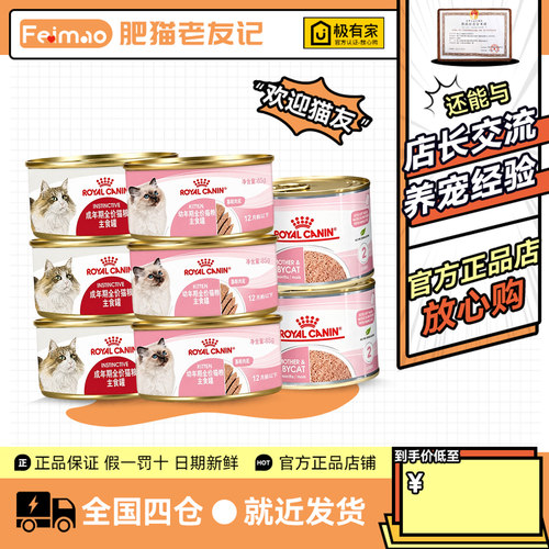 离乳期罐头湿粮幼猫全价