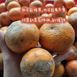 乌柑花皮果花斑果丑柑花皮沃柑