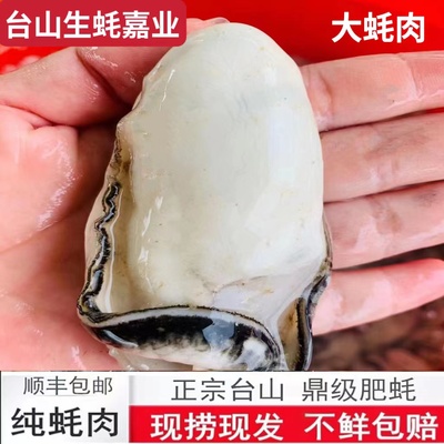 净蚝肉台山生蚝特大肥美鲜活脆爽
