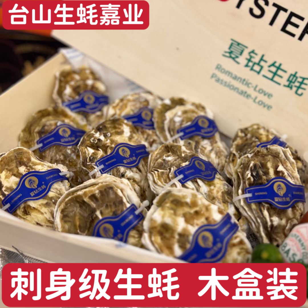 12只台山生蚝鲜活乳山刺身生蚝牡蛎带壳生吃生蚝海鲜水产木箱礼盒