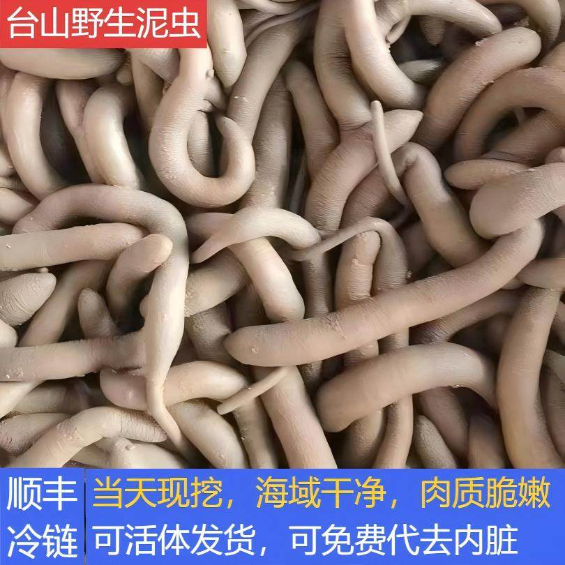 台山纯天然野生新鲜泥虫泥丁土笋冻1斤可活体可代去肚海鲜水产,水产肉类/新鲜蔬果/熟食,其它,淘宝优惠券,粉丝福利购,淘宝优惠卷