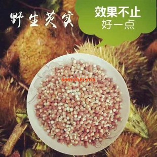 2025芡实干货野生新鲜红皮天长龙岗芡实米苏州南塘老鸡头米