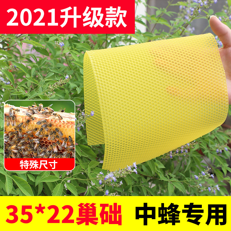 中蜂巢础蜜蜂巢脾深房蜂脾30片特殊尺寸35*22蜂大哥养蜂专用工具