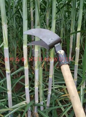 农用甘蔗剥叶镰刀修整甘蔗叶专用手动剥叶器省力方便修甘蔗叶叉子