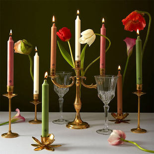 法国carrierefreres植物学家香薰蜡烛炷蜡番茄玫瑰卧室新年礼物CF