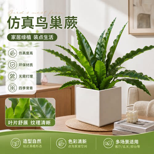 仿真鸟巢蕨落地绿植室内橱窗雨林