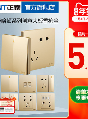 正泰官方旗舰店2V金86型一开5五孔家用暗装带USB空调开关插座面板