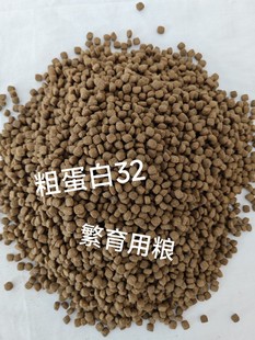 大午猫粮猫舍供粮天然鲜肉增肥发腮成猫幼猫简装繁育全期全价猫粮