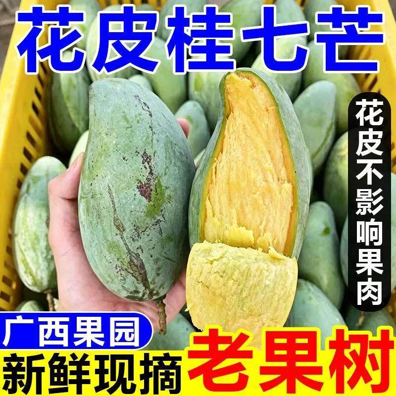 正宗广西田东花皮桂七芒当季新鲜水果大