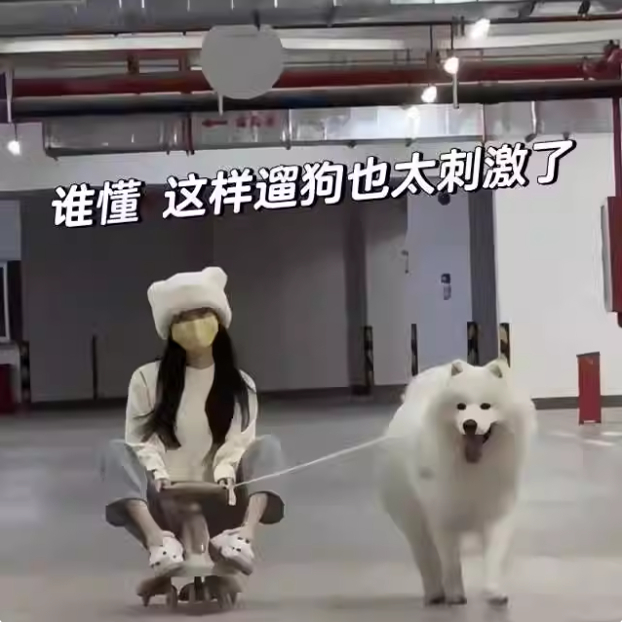 狗狗专用大型犬扭扭车