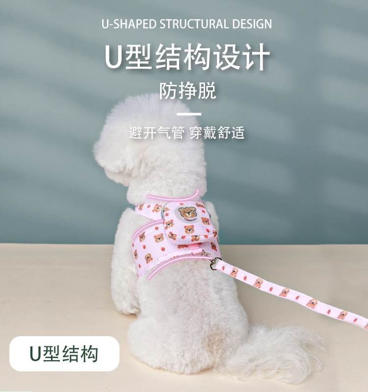狗牵引绳带背包小外出便